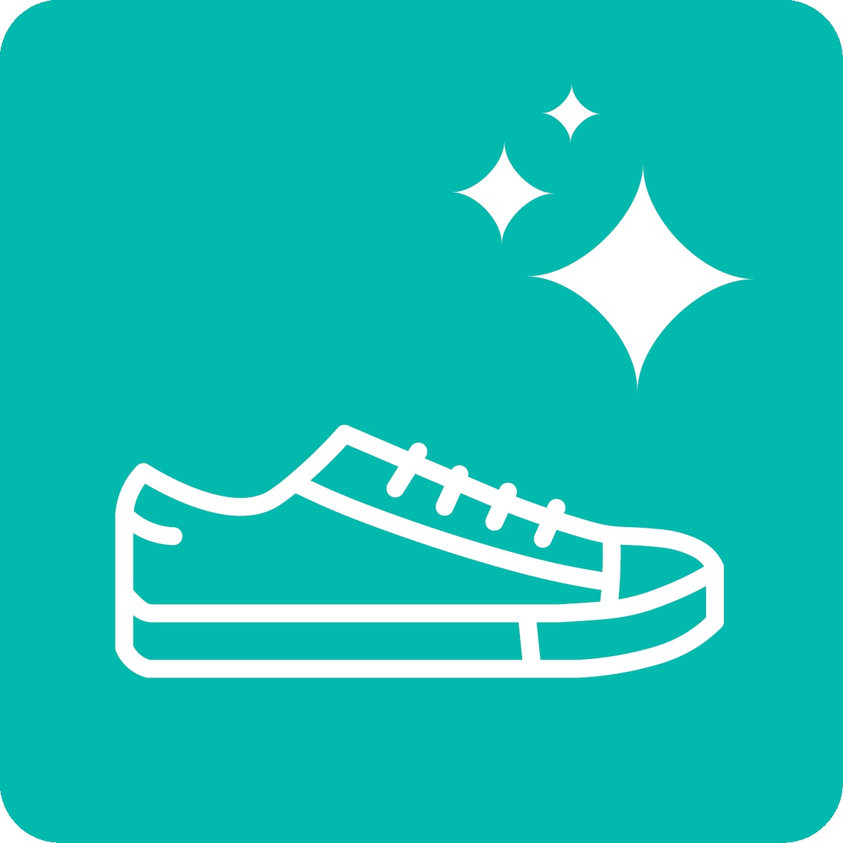 ShoeWash Icon