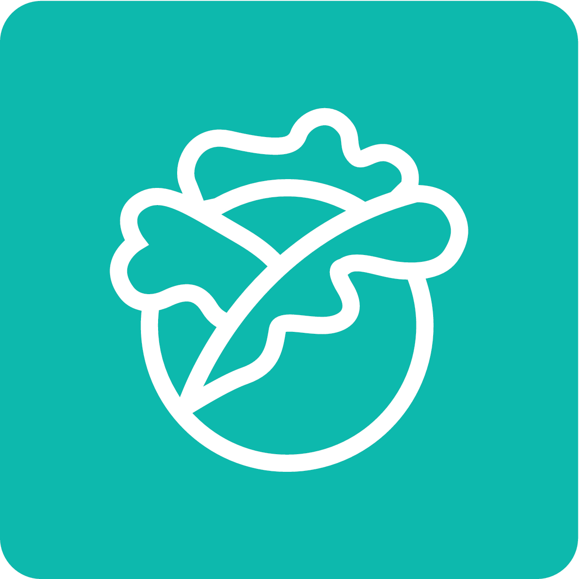 CrispZone Icon