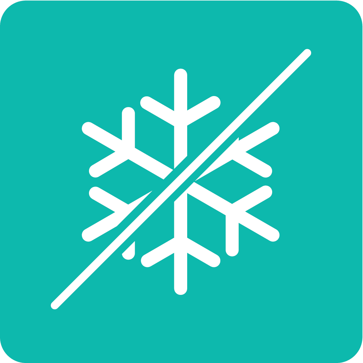 FastFreeze Icon