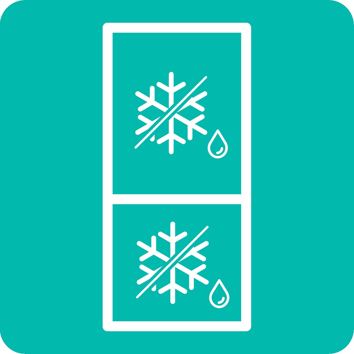 NoFrost Dual Icon