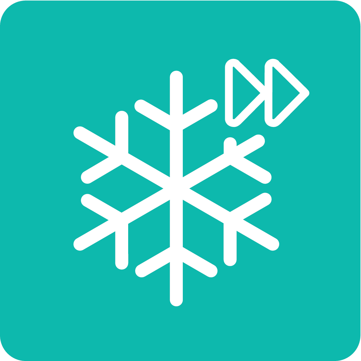 FastFreeze Icon