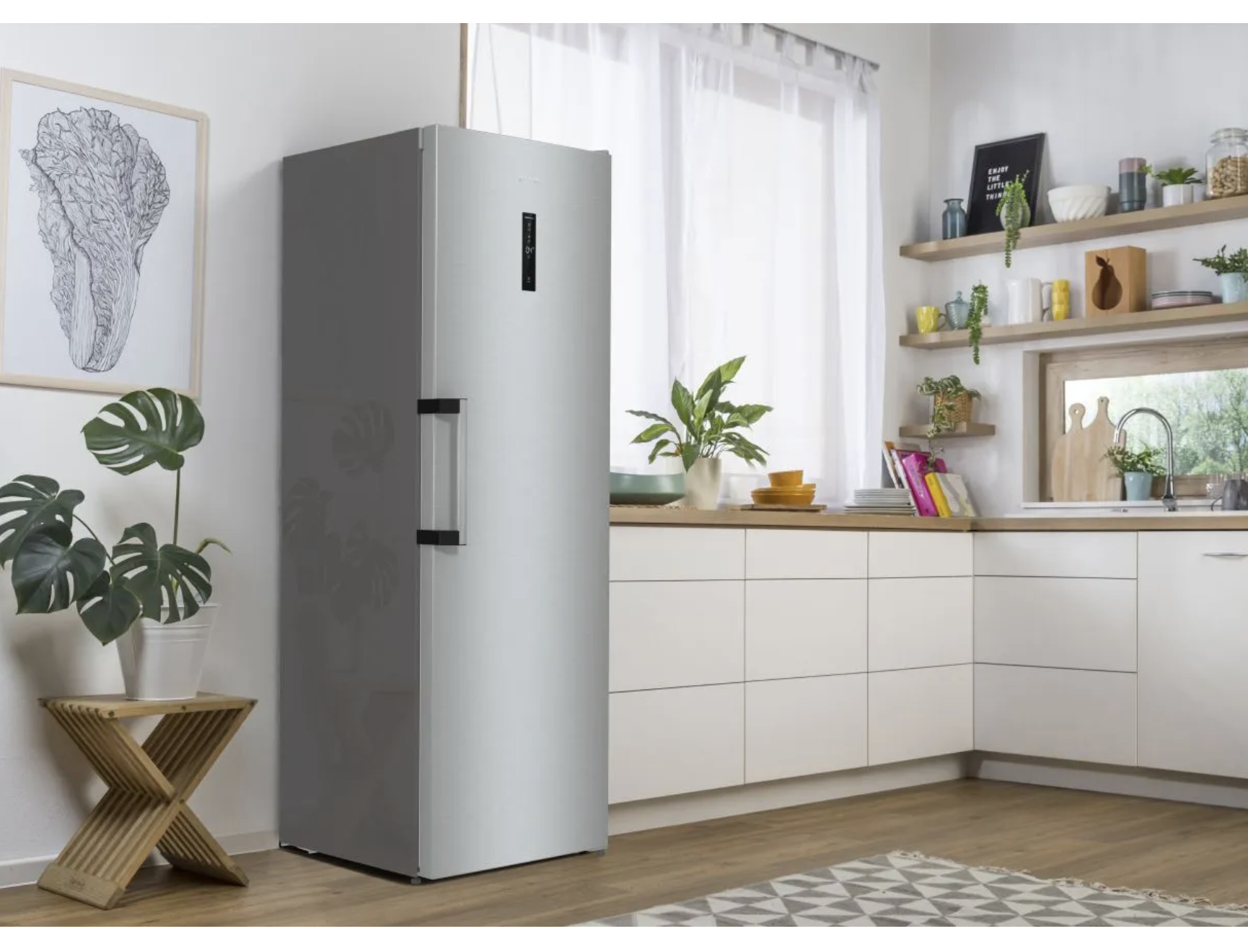Freestanding Refrigerator