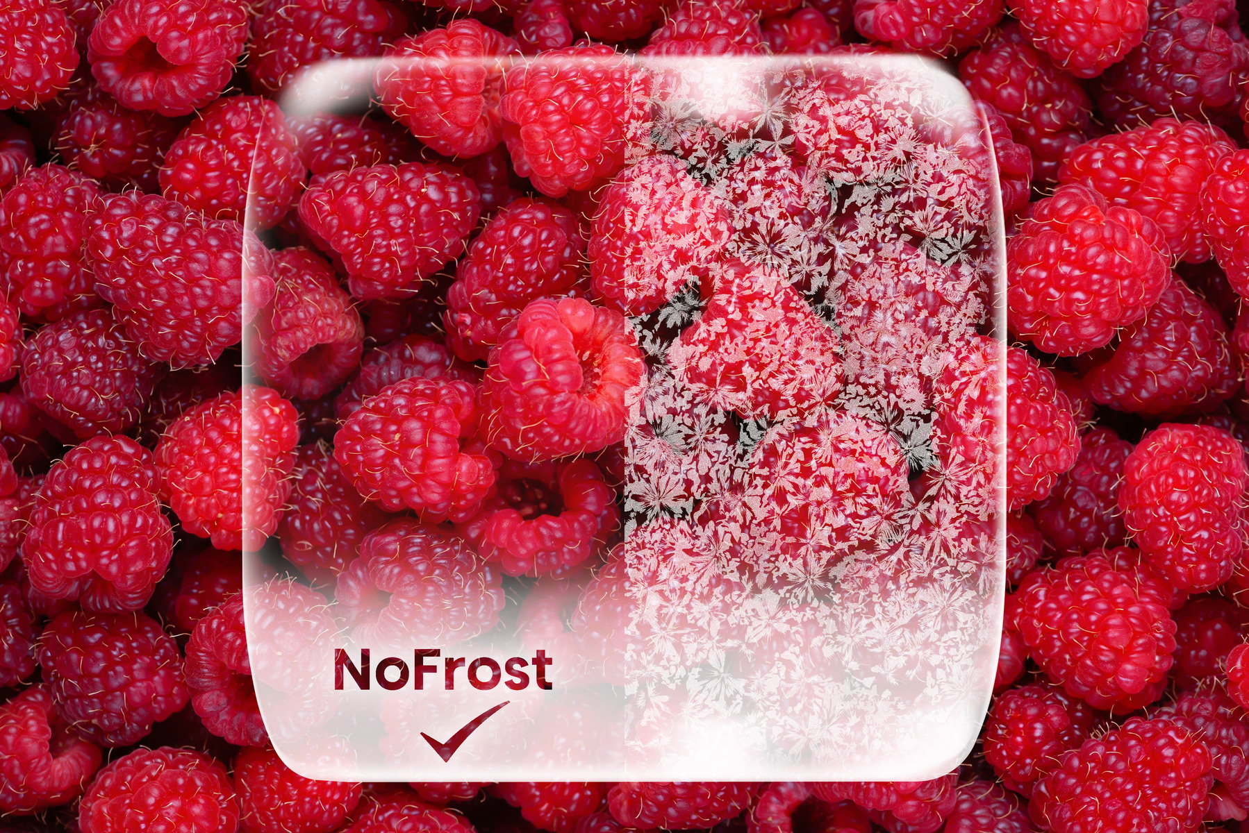 NoFrost Dual