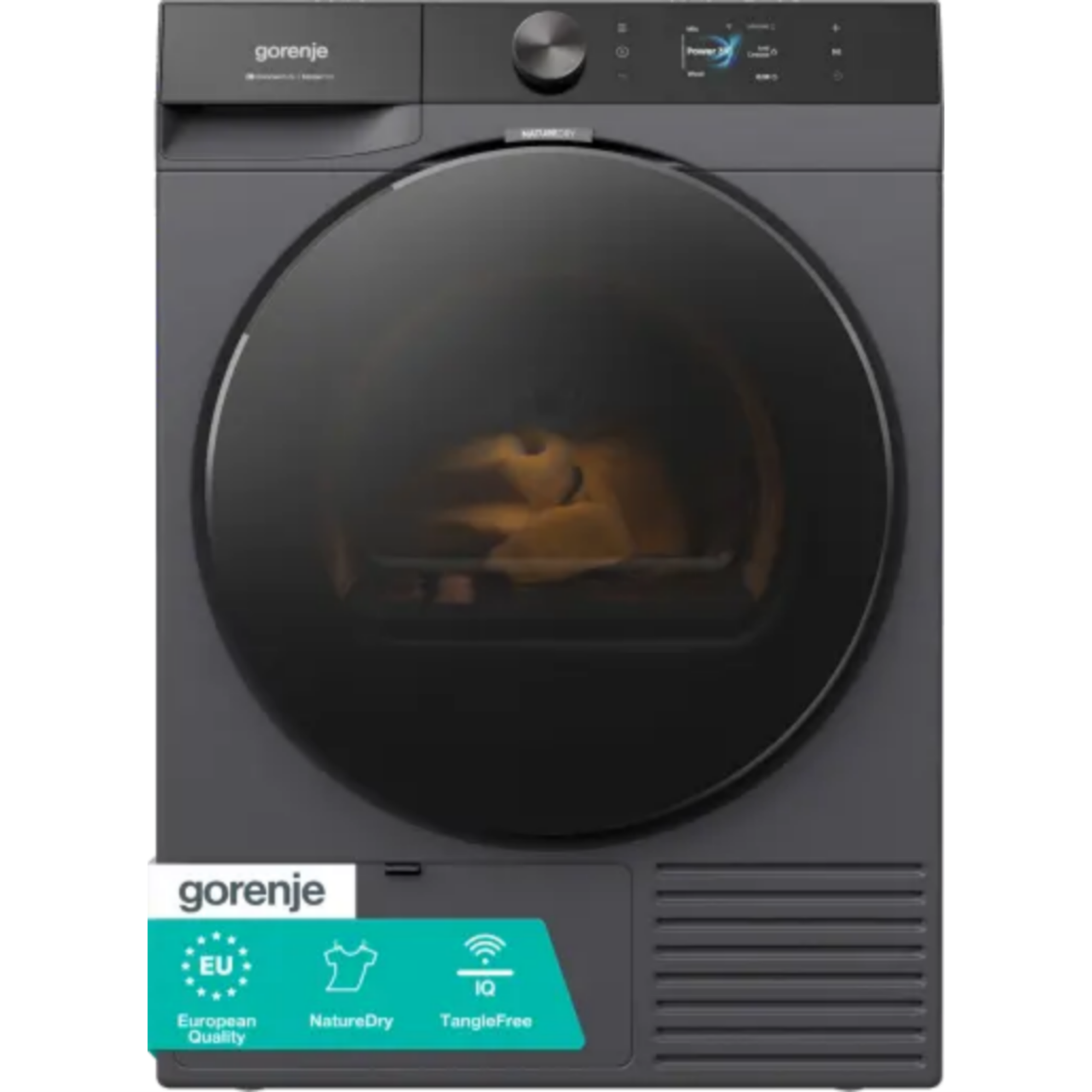 DG81DPT