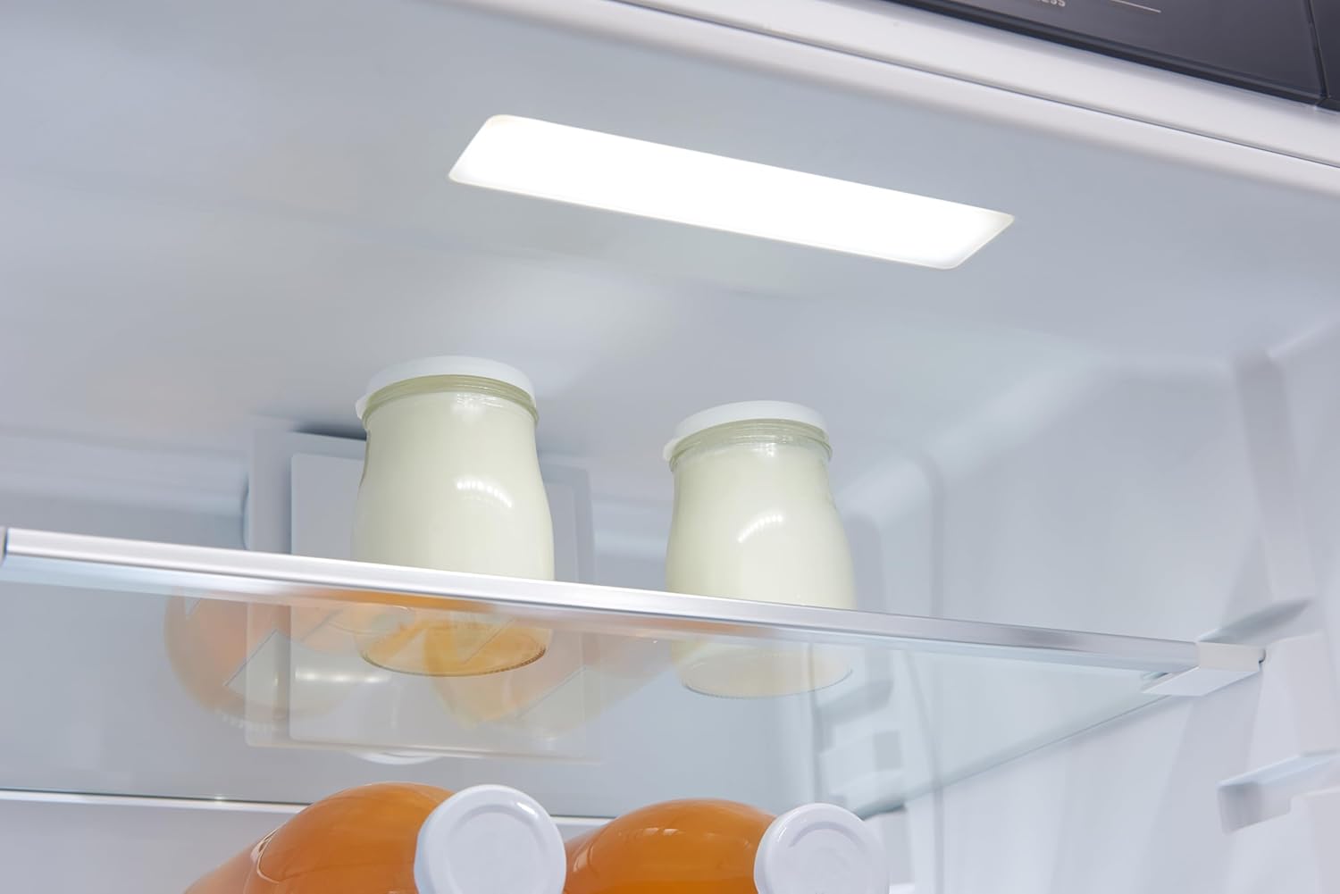 Freestanding Refrigerators