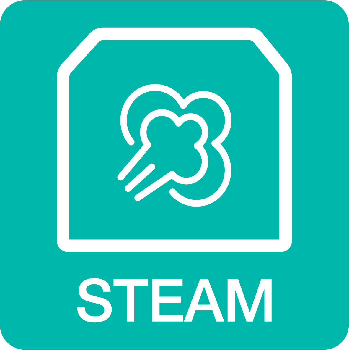 oven_extrasteam