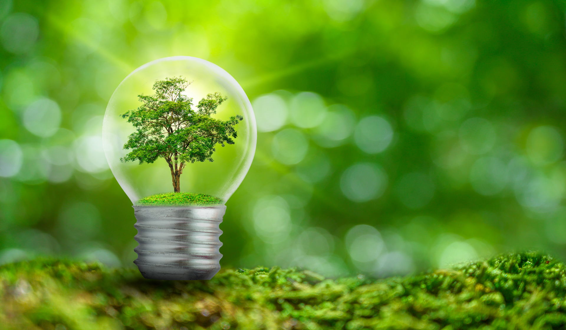 green_energy_shutterstock_1659920494