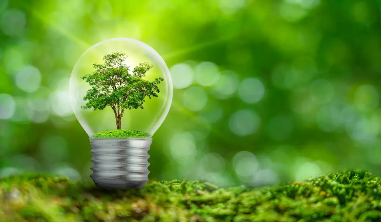 E (Energy efficiency)