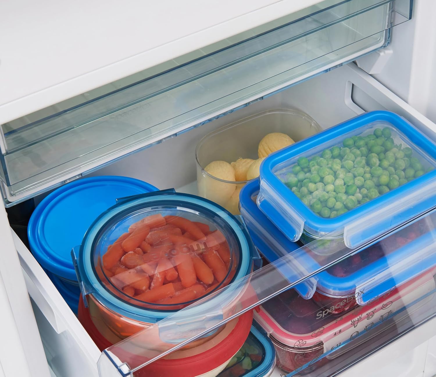 Freestanding Refrigerators